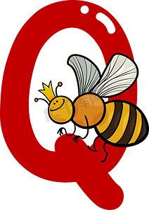 蜜蜂蜂王摄影照片_Q代表蜂王