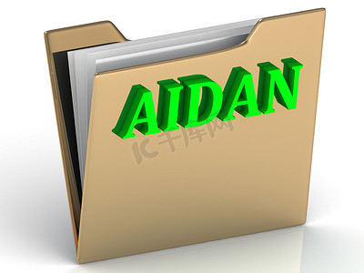 AIDAN- 金色文件夹上的姓名和家庭明亮字母
