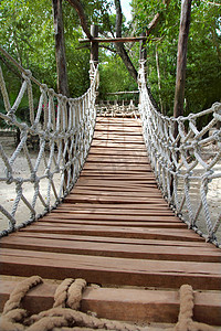 探险木绳丛林吊桥