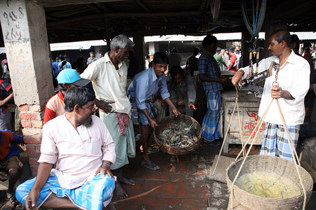 西孟加拉邦 Kumrokhali 的鱼市