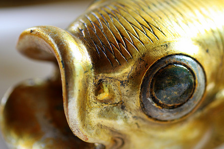 “一条金色的古老鱼”