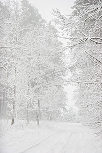 下雪路摄影照片_美丽的冬季景观与冬季森林中的雪路。