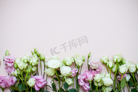 浅粉色背景摄影照片_浅粉色背景上有一束精致动人的白色和粉色花朵。