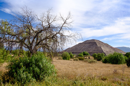 阿兹特克文明摄影照片_特奥蒂瓦坎的景观，有树木和太阳金字塔