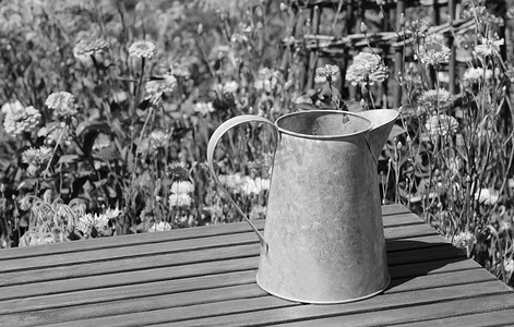 水壶上的按钮摄影照片_花园桌子上的空金属罐