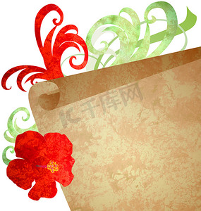 红花和旧纸卷轴水彩插画