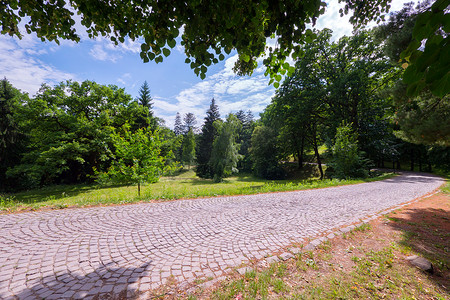 一条石头停放的步行长廊，两边都是绿树和灌木