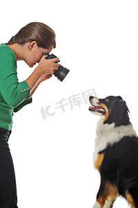 给狗拍照