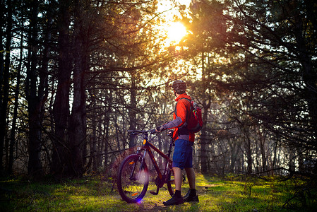 骑自行车的人在美丽的童话松林的小径上骑自行车。
