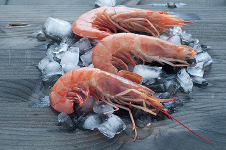 浓汤桂鱼摄影照片_躺在冰床上的鲜虾