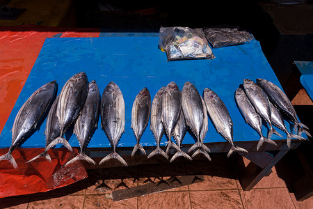 跳跳市场摄影照片_传统市场上的鲜鱼