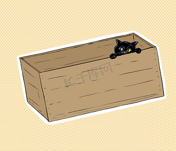 手绘黑色猫摄影照片_从盒子里偷看的黑猫
