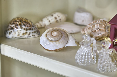房子中摄影照片_用蜗牛装饰。