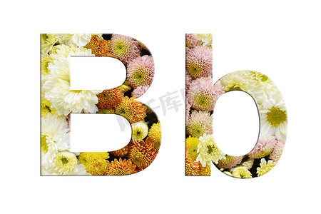 花标记摄影照片_字母 B 和 b，从白色背景上的花朵中分离出来的字母