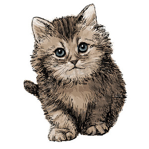 动物可爱手绘摄影照片_可爱的小猫手绘