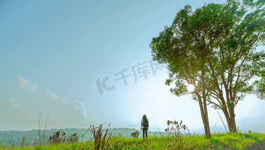 大树铭牌摄影照片_带着帽子和背包的年轻女游客站在山上，绿草如茵，阳光明媚的日子里，大树与蓝天和日落时的积云相映成趣。