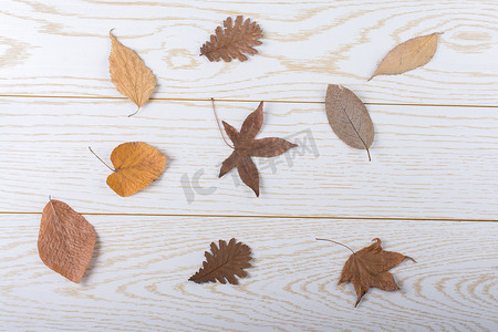 木板纹理上的干秋叶
