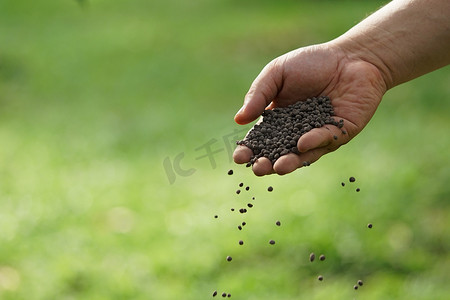 男人的手正在播种肥料。