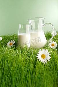 罐装牛奶和花草地上的玻璃杯