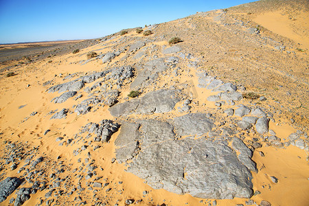 撒哈拉沙漠中的古老化石和岩石天空