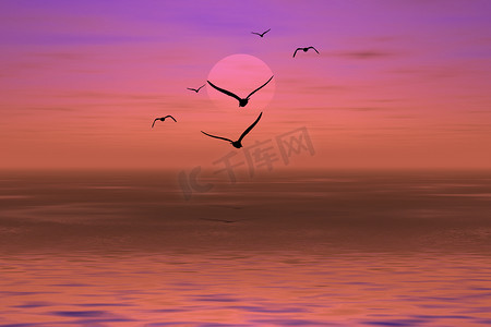 红色海鸥剪影摄影照片_夕阳下的信天翁