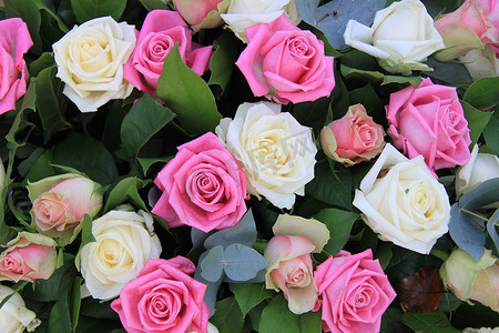 白色和粉色玫瑰的插花