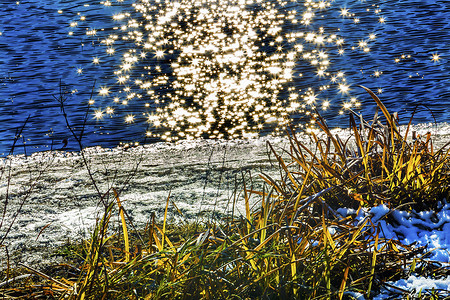 Wenatchee River Stars 冬叶 Leavenworth Washington