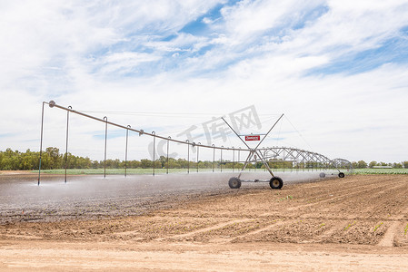 中枢摄影照片_玉米田中的中心枢轴灌溉系统