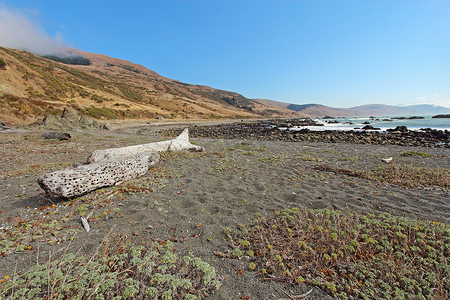 加利福尼亚失落海岸的圆石滩和浮木