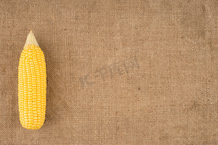 在麻布上的玉米棒子上生的新鲜玉米。