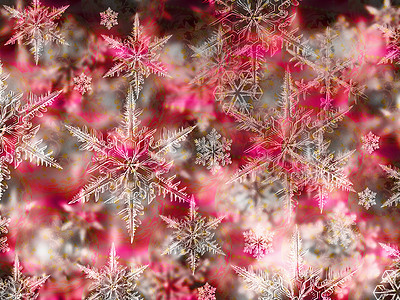 粉色雪花摄影照片_五颜六色的圣诞背景与雪花和达尔上的星星