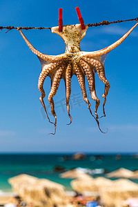 章鱼在阳光下晒干，克里特岛，希腊，欧洲。