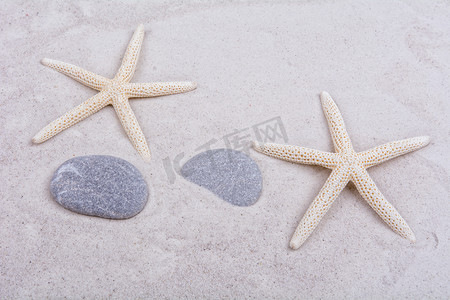 白色海星和沙子上的两个贝壳