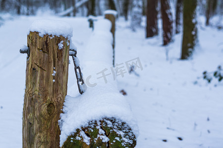 冬季森林景观中一根简单的木路障梁的特写，障碍物覆盖着一层雪