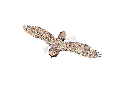 夜行动物摄影照片_长着翅膀的猫头鹰在空中展开