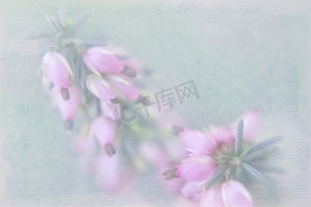 红色光影摄影照片_绿色模糊背景上的小粉红色小花与 imp