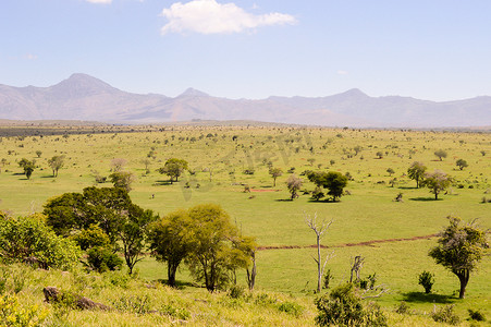 肯尼亚东察沃大草原的景色