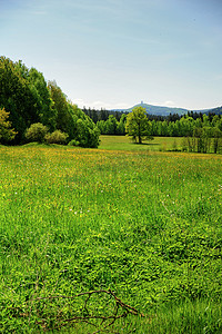 绿色农场摄影照片_绿色春天景观