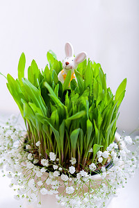 兔宝宝、鸡蛋和白花 复活节符号。