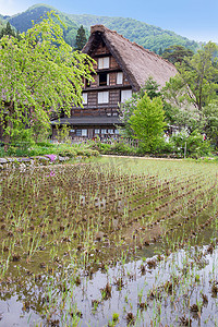 历史悠久的日本村——春天的白川乡，日本的旅游地标