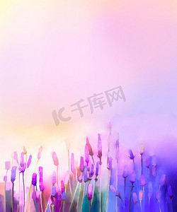 草地上的油画紫色薰衣草花