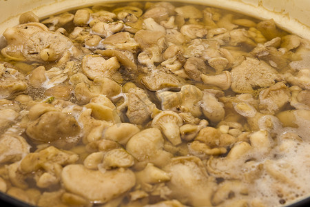 蘑菇在锅里煮