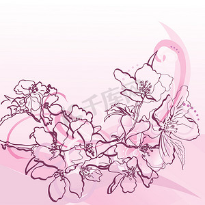 手绘粉色花朵背景摄影照片_粉色手绘花朵和装饰曲线