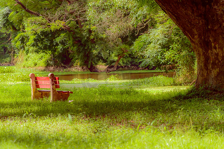 秋天公园里的红色长凳。 
