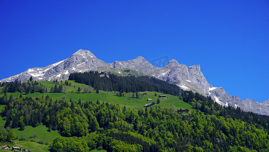 瑞士英格堡山脉和森林景观
