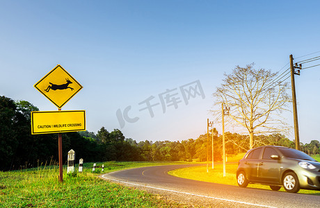小心讨好摄影照片_游客在黄色交通标志附近的弯道柏油路行驶时小心驾驶的生态车，标志内有鹿跳，并有“小心野生动物穿越”的信息。