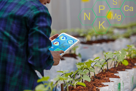 智能农场、农民使用平板电脑控制温室植物的滴灌系统和矿物质