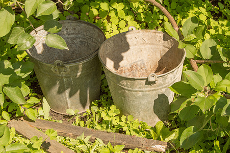 花园草地上两个生锈的旧铁桶