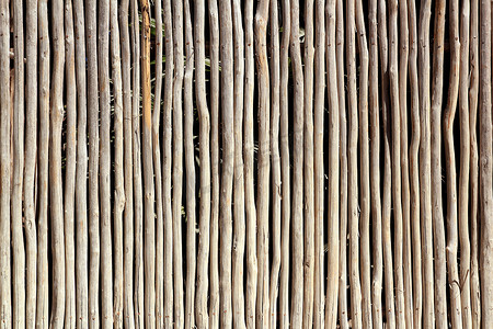 玛雅人摄影照片_坚持白色木树干篱笆热带玛雅墙
