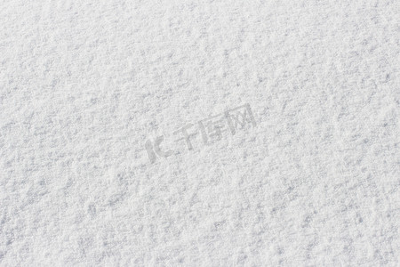 雪地壳，白色背景